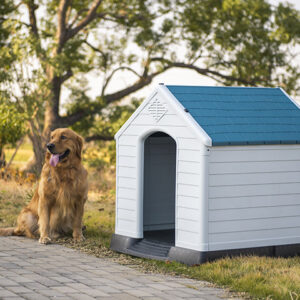 Plastic dog kennel